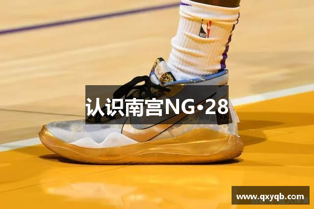 认识南宫NG·28